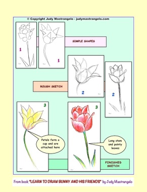 Tulip Sketches